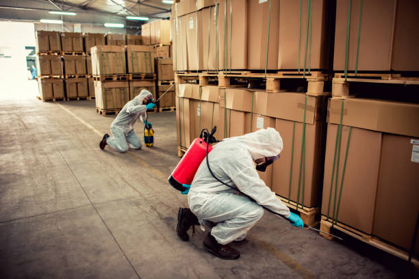 Best Pest Removal Services  in Sewaren, NJ