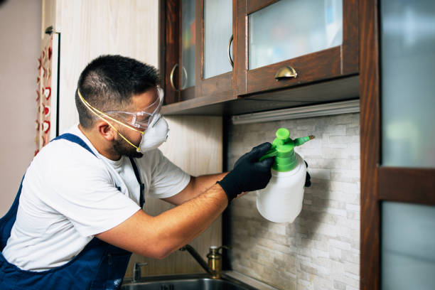 Best Residential Pest Control  in Sewaren, NJ