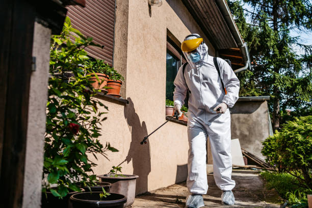 Best Pest Prevention Services  in Sewaren, NJ