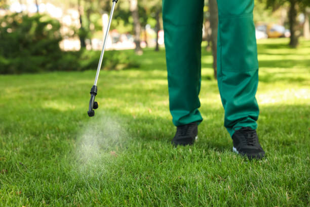Best Pest Inspection Near Me  in Sewaren, NJ