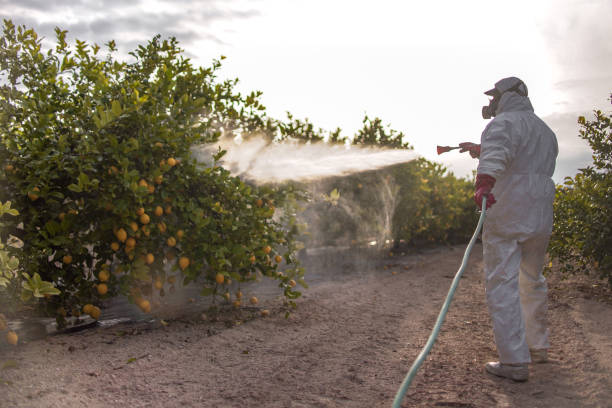 Best Rat Extermination Near Me  in Sewaren, NJ