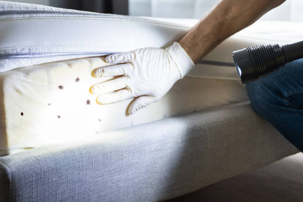 Best Cockroach Control Services  in Sewaren, NJ