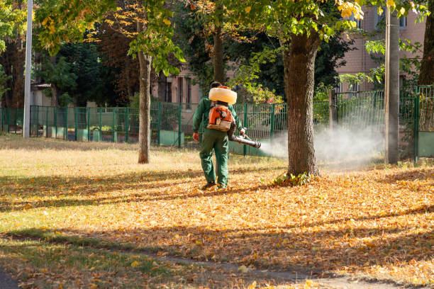 Professional Pest Control in Sewaren, NJ