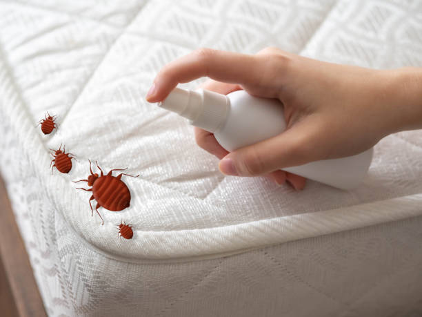 Best Wasp Removal Services  in Sewaren, NJ
