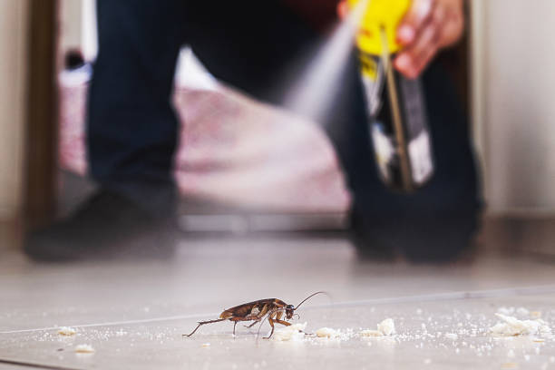 Best Wildlife Control Services  in Sewaren, NJ