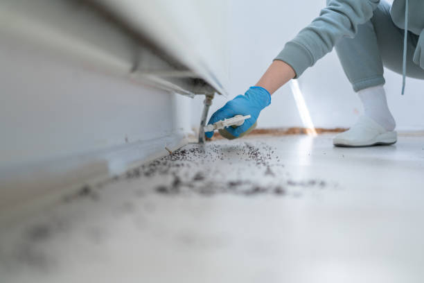 Best Wildlife Control Services  in Sewaren, NJ