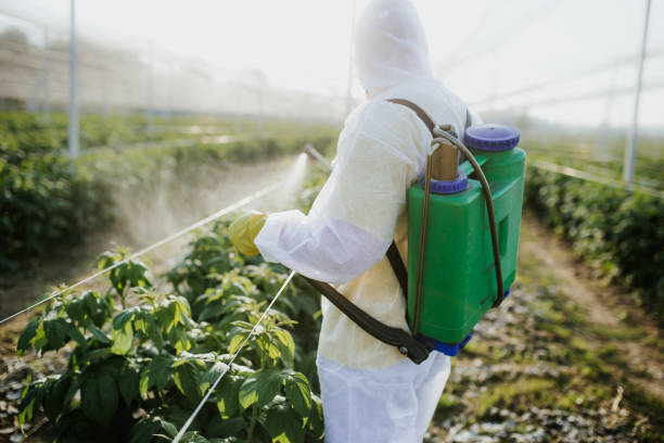 Best Affordable Pest Control Services  in Sewaren, NJ